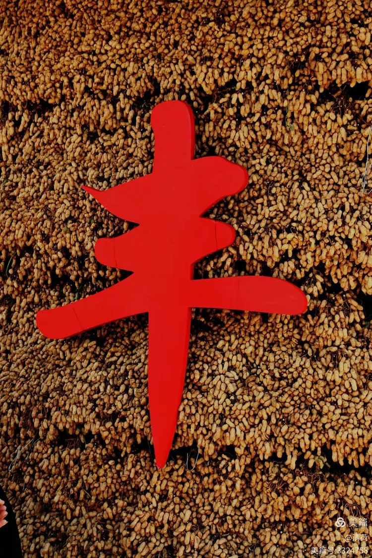 五谷丰登好年月